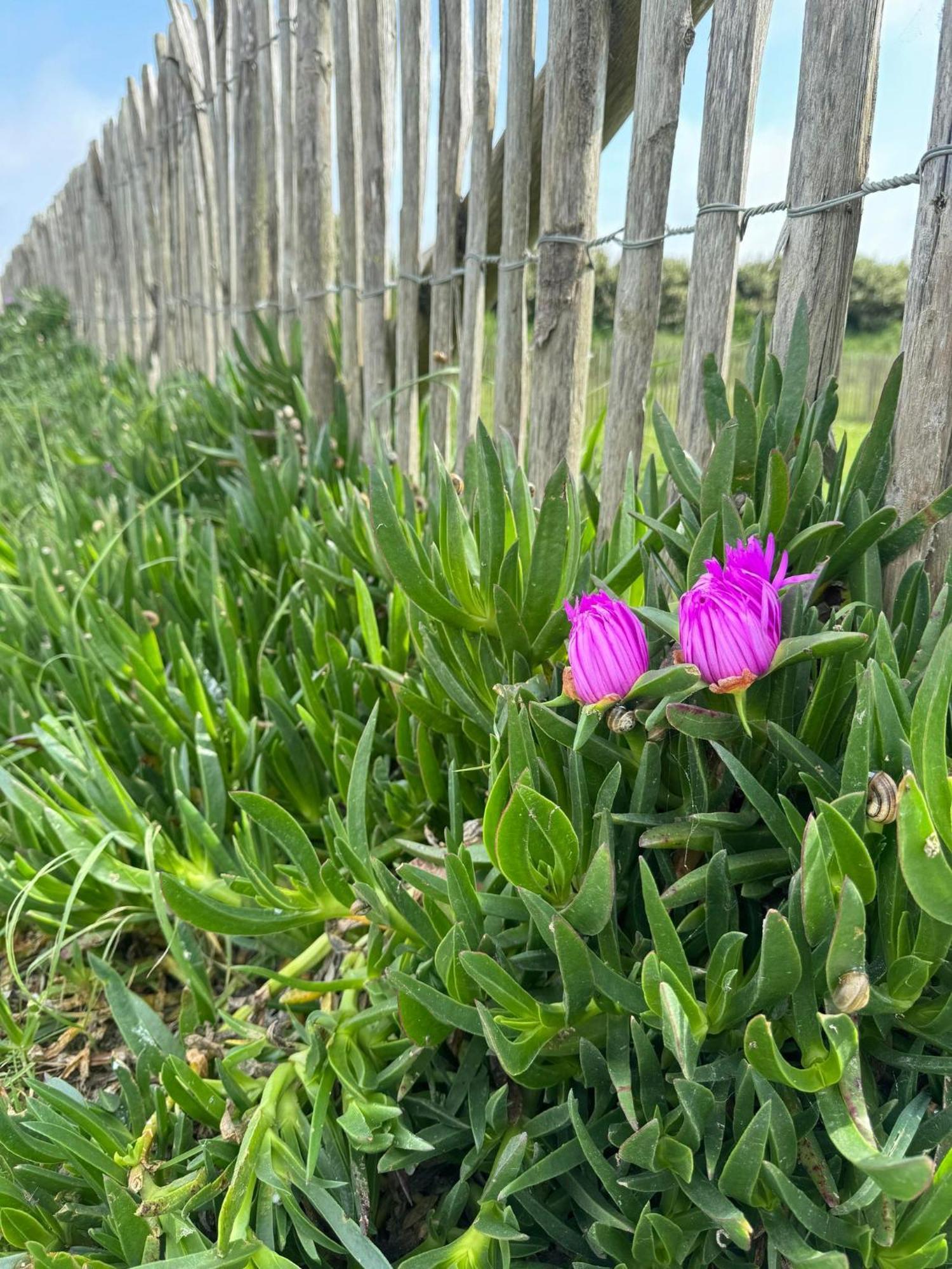 Saint-MarcoufFace Aux Isles别墅 外观 照片